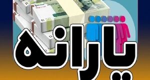 چه کسانی از فهرست یارانه ۱۴۰۳ حذف می‌شوند؟ | خبر بد برای یارانه بگیران