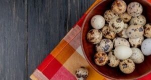 فواید بسیار تخم بلدرچین برای زنان باردار | نوزاد باهوش با خوردن تخم بلدرچین