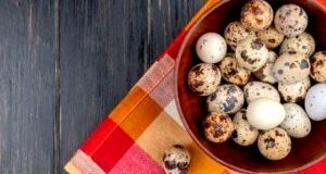 فواید بسیار تخم بلدرچین برای زنان باردار | نوزاد باهوش با خوردن تخم بلدرچین