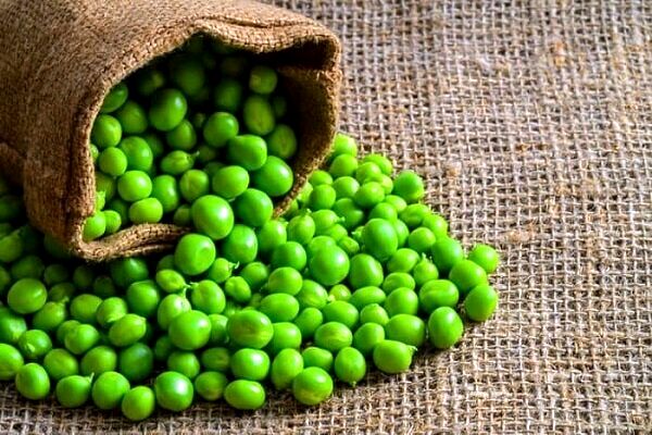 تمام خواص این دانه پر خاصیت
