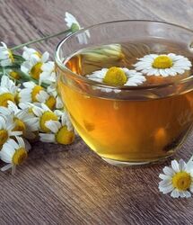 طرز تهیه دمنوش بابونه؛ یک نوشیدنی آرام بخش و سلامتی محور