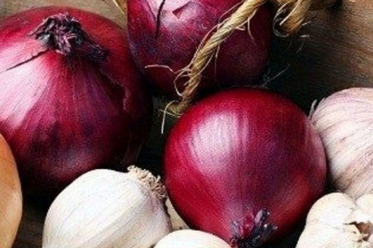 عمرا اگه میدونستی هر رنگ پیاز برای چی خوبه | یه عمر اشتباهی از پیازهای مختلف استفاده میکردیم