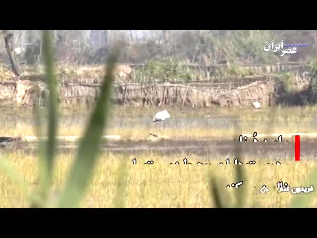 ببینید | مهمان کشی
