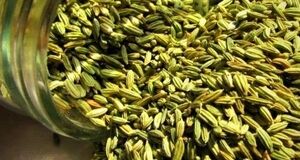 زیره سبز با این همه خاصیت | خواص باورنکردنی زیره سبز برای درمان و لاغری