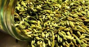 زیره سبز با این همه خاصیت | خواص باورنکردنی زیره سبز برای درمان و لاغری