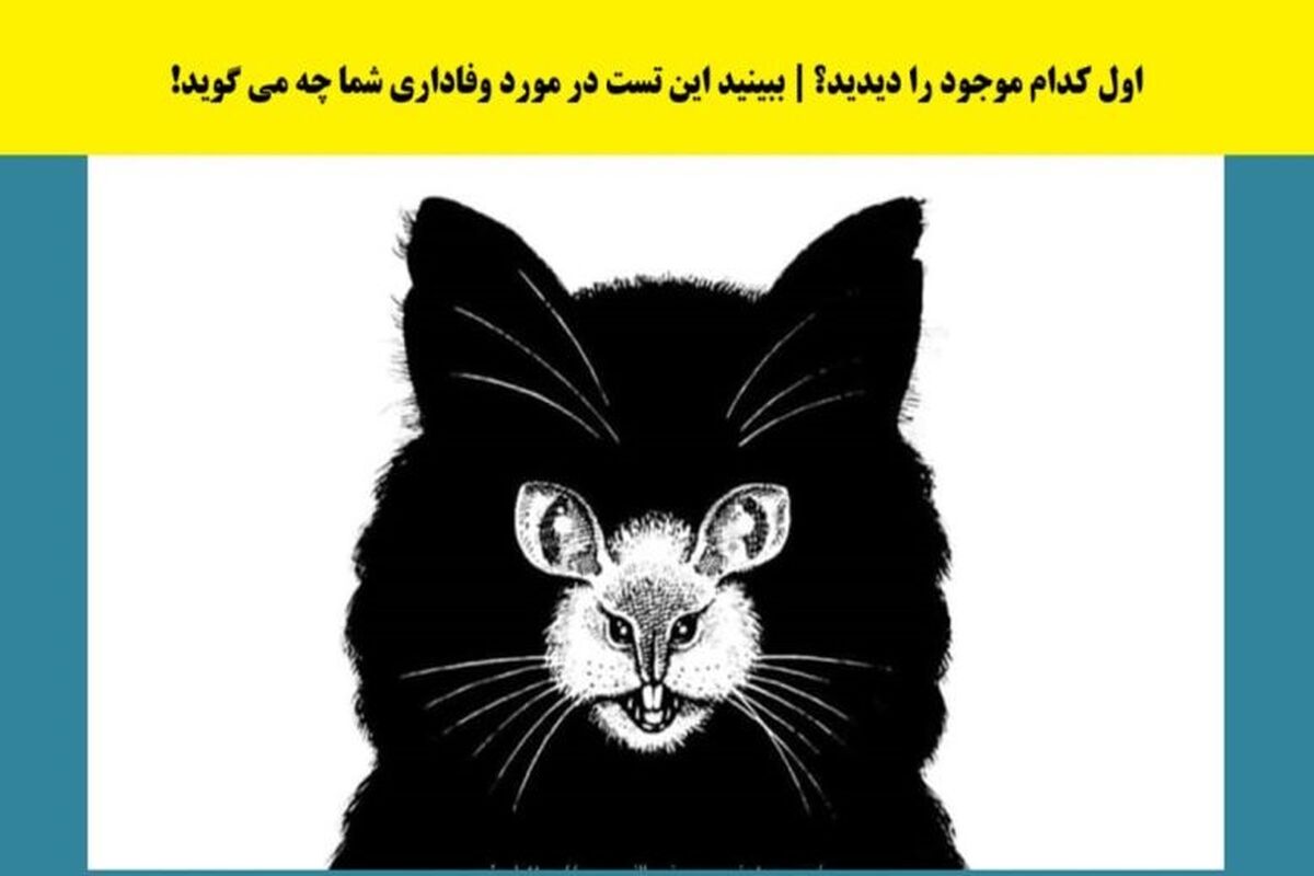 تست شخصیت  | بگو چی دیدی تا بگم آدم وفاداری هستی یا نه؟