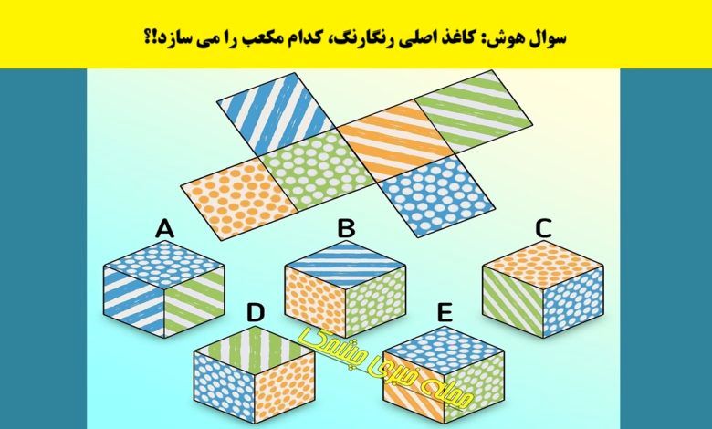 تست هوش با جواب | فقط نابغه‌ها در ۱۰ ثانیه معمای مکعب را پیدا می‌کنند