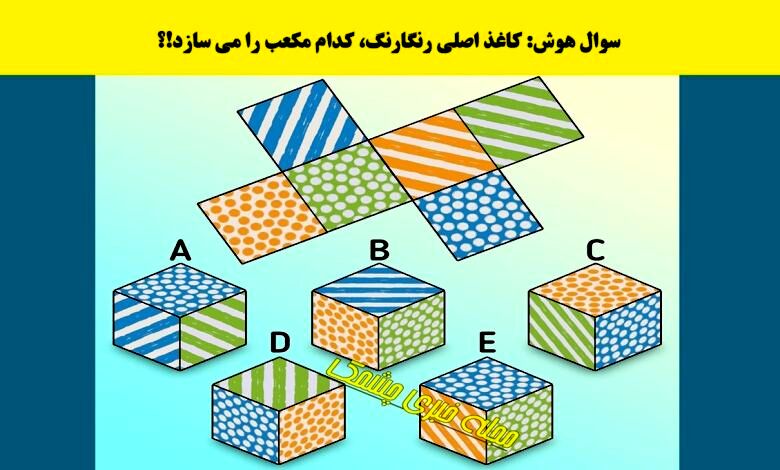 تست هوش با جواب | فقط نابغه‌ها در ۱۰ ثانیه معمای مکعب را پیدا می‌کنند