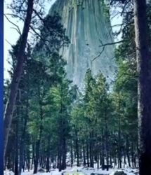 ویدئو | حیات وحش | شیطان واقعی جنگل‌های استرالیا!