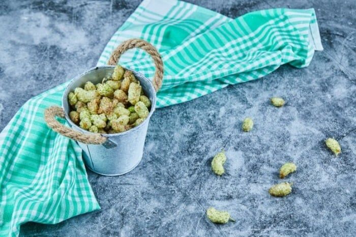 خواص توت سفید برای درمان و زیبایی | تمام خواص توت سفید  را اینجا بخوان
