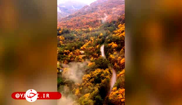 ببینید | پاییز زیبای جاده دیلمان