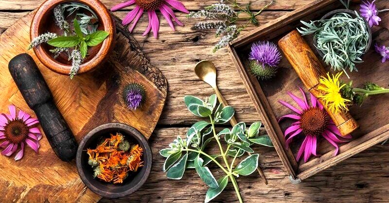 این مسکن‌های طبیعی هر دردی را درمان می‌کنند