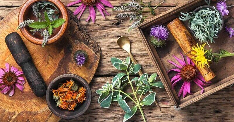 بهترین گیاهان و ادویه‌ها برای تقویت حافظه