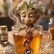 ۵ گیاه آرام‌بخش برای خوابی عمیق؛خداحافظی با غلت‌زدن و افکار مزاحم قبل خواب