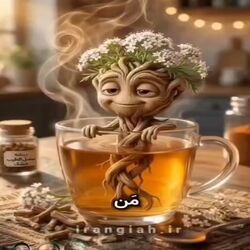 ۵ گیاه آرام‌بخش برای خوابی عمیق؛خداحافظی با غلت‌زدن و افکار مزاحم قبل خواب