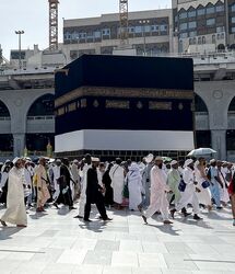 آغاز عمره ۱۴۰۵ از اواخر صفر؛ فراخوان حج آینده پس از عاشورا