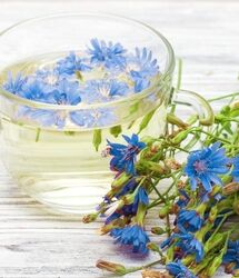 این گیاه همزمان فشار خون ، قند خون، کبد و ضعف بینایی را درمان می کند