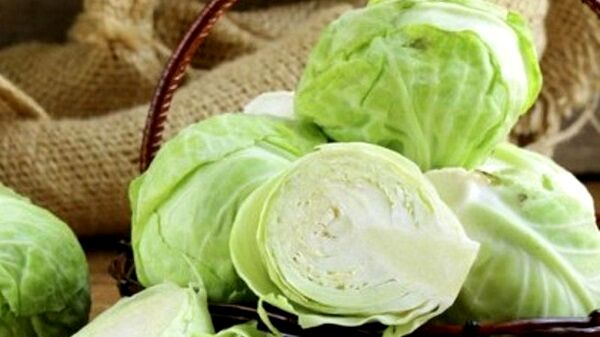 سلامت بدن خود را با خوردن این سبزی کنار ناهار و شام بیمه کن 