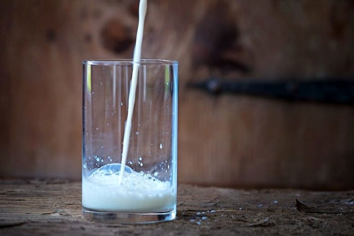 شیر سرد یا شیر داغ کدام یک سالم تر اند؟ | فواید شیر رو اینجا بهون