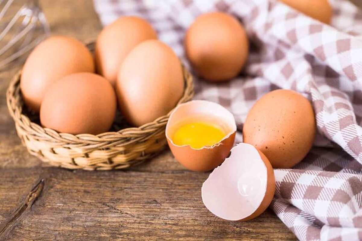 روزانه چند تخم مرغ بخوریم؟ | فواید مصرف تخم مرغ