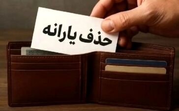 آغاز حذف یارانه این خانوارها / اگر این شرایط را دارید یارانه تان قطع می‌شود