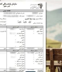 اضافه شدن قطعی فوق‌العاده خاص و اصلاح احکام بازنشستگان در مرداد ماه | فیش حقوقی بازنشستگان زیر و رو شد