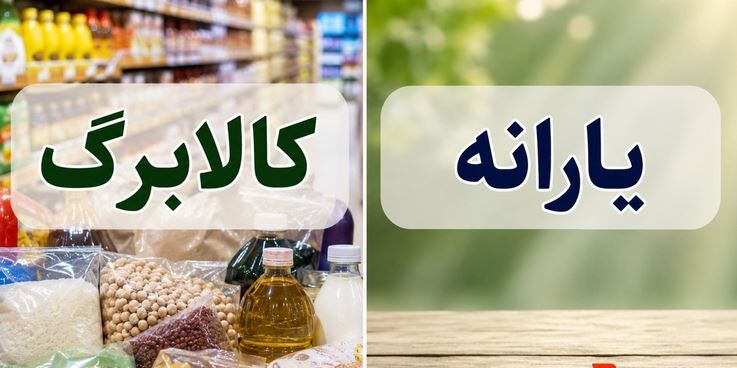 اعلام زمان‌بندی کامل و جدید واریز یارانه نقدی، کالابرگ تیر  / یارانه معیشتی جدید دولت در تیر ماه واریز می شود