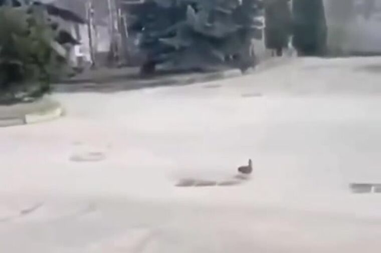 واکنش جنجالی سفارت ایران / کنایه تازه ایران به آمریکا
