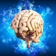 اگر این نکات را رعایت کنید، زوال عقل به سراغتان نمی‌آید