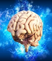 اگر این نکات را رعایت کنید، زوال عقل به سراغتان نمی‌آید