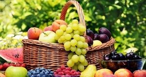 میوه‌های ضد یبوست را بشناسید
