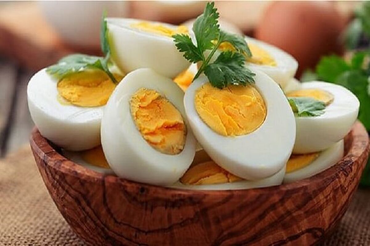 هر روز چند تا تخم مرغ بخوریم؟
