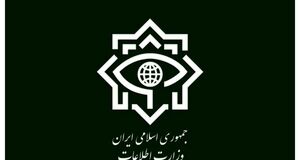 شناسایی بزرگ‌ترین پرونده‌های زمین‌خواری کشور توسط وزارت اطلاعات