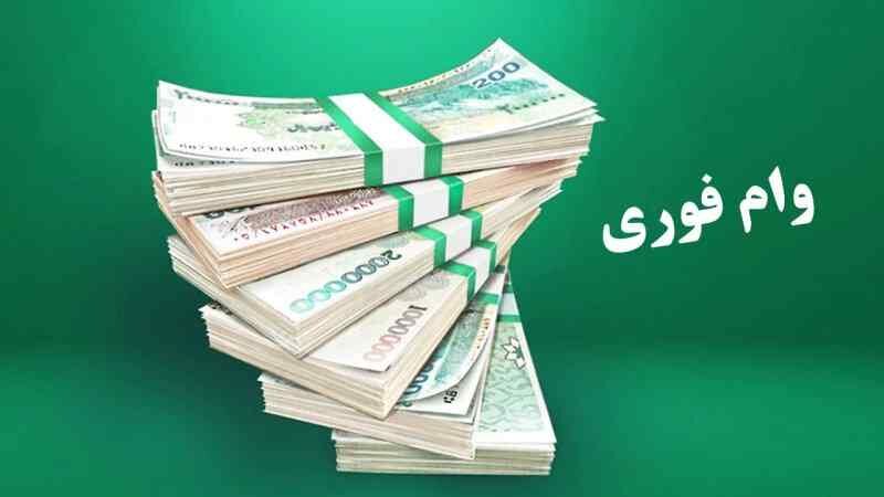 سوپرایز بزرگ برای وام این افراد | ارائه وام ۵۰۰میلیون تومانی از مهر ماه