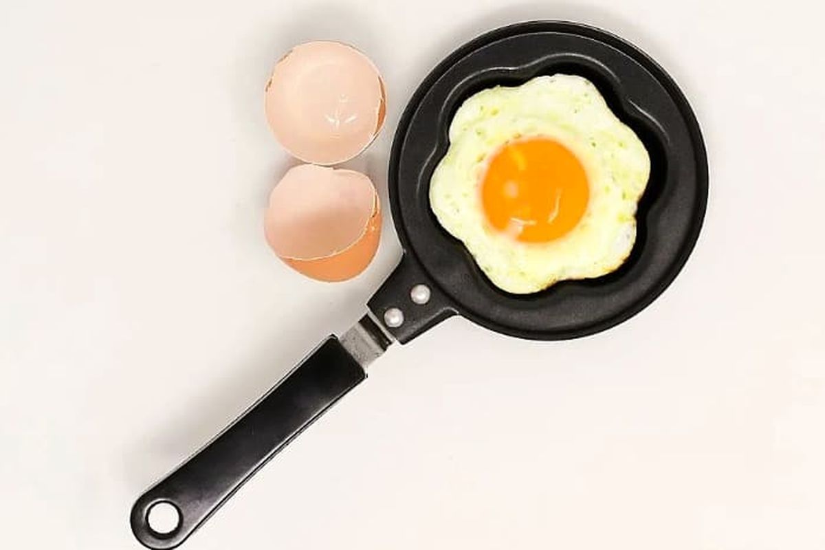 چرا بدنسازا اینقدر تخم مرغ می خورن | فواید خوردن تخم مرغ و خواصش