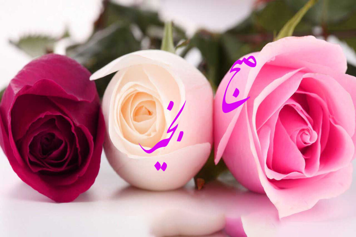جدیدترین پیامک های زیبا و لاکچری صبح بخیر