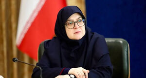 سخنگوی دولت: زبان فارسی سنگر تمامیت سرزمینی ماست