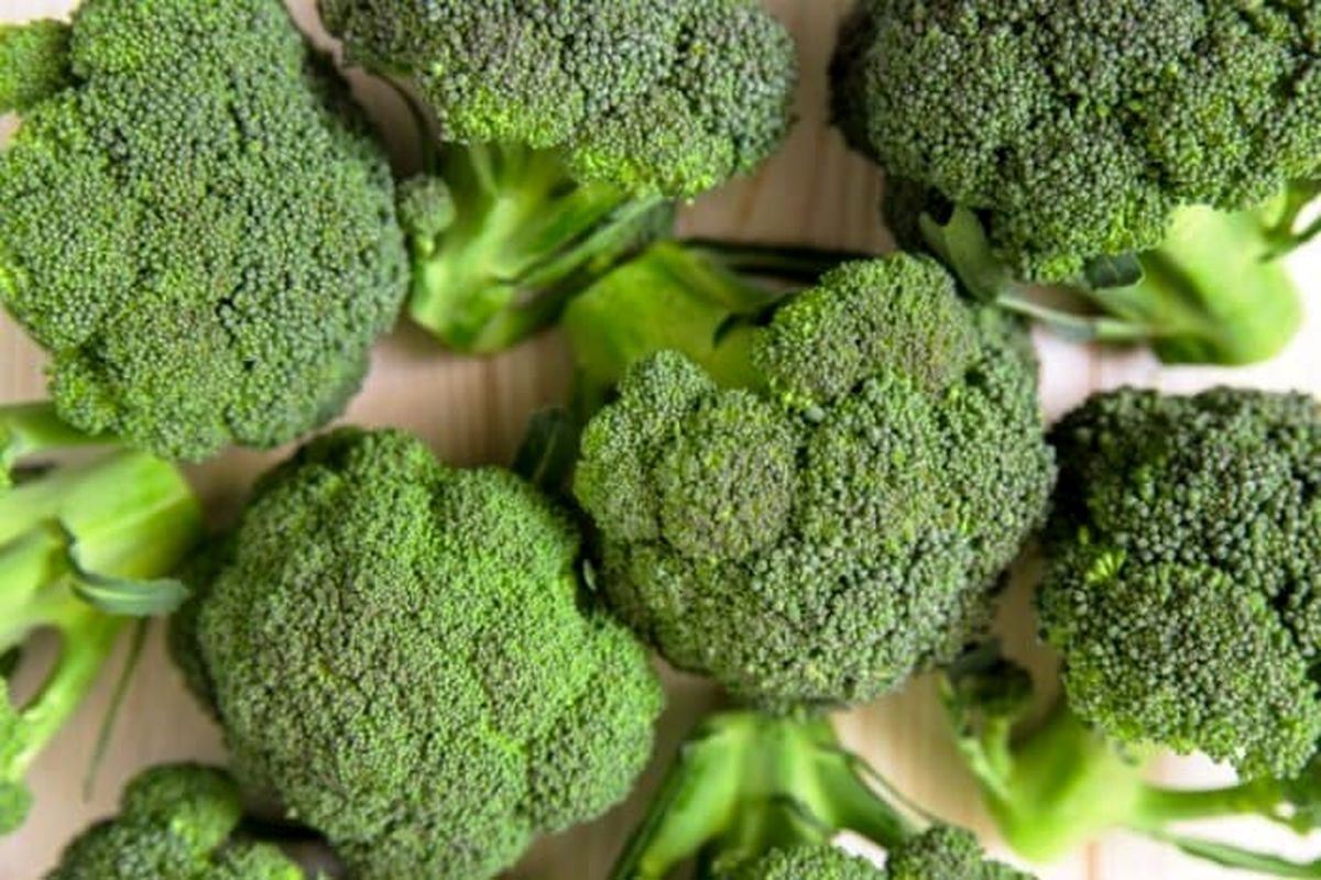 خواص بروکلی و فواید این سبزی شگفت انگیز | بروکلی مفید است یا مضر