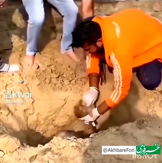 ببینید | عزاداری میمون