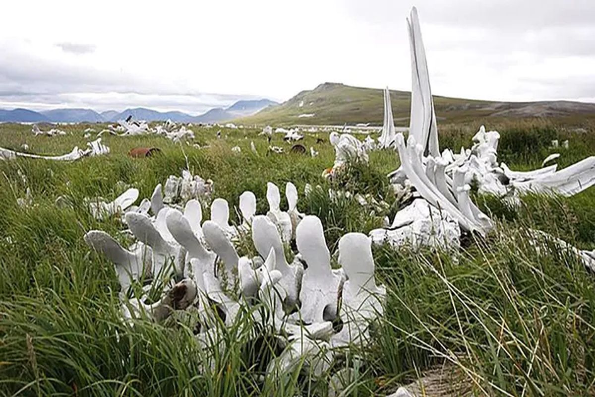 مقصدی ترسناک برای گردشگران