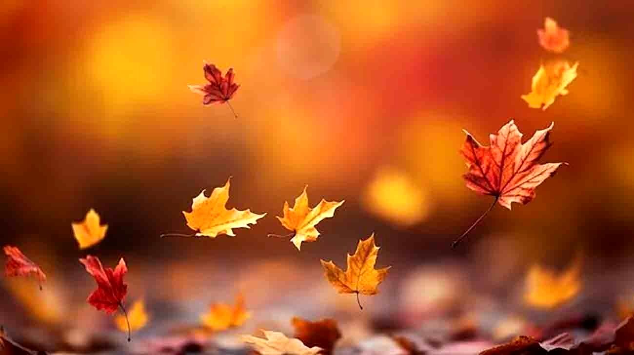 ویدئو | پاییز ایران، خشک‌تر از تابستان؟!