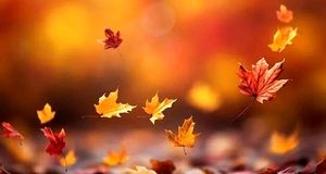 ویدئو | پاییز ایران، خشک‌تر از تابستان؟!