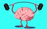 روش های جلوگیری از آلزایمر | با این کارهای ساده آلزایمر را ضربه فنی کنید