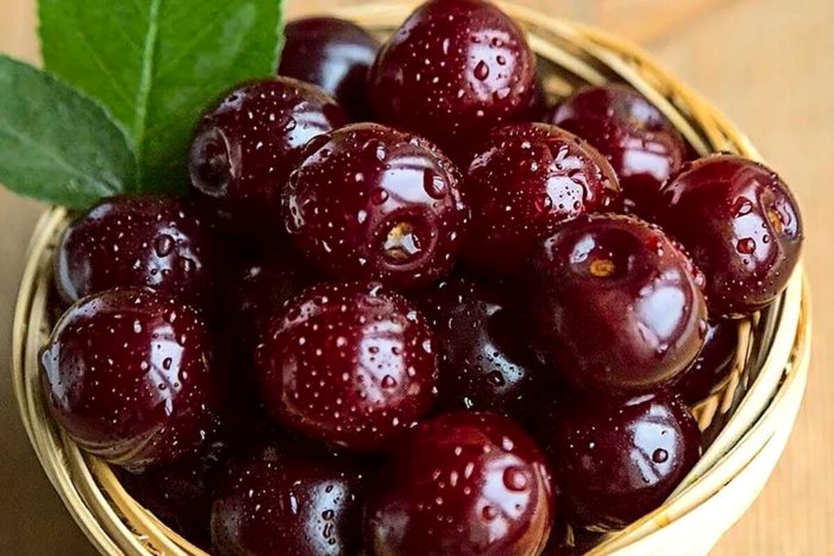 این میوه تابستانی به تصفیه خون و کاهش حرارت بدن کمک می‌کند