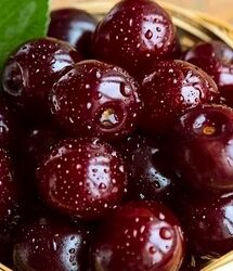 این میوه تابستانی به تصفیه خون و کاهش حرارت بدن کمک می‌کند