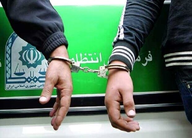فیلم | آمار کاهشی سرقت در ایام نوروز