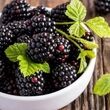 فواید شگفت انگیز این ۹ خوراکی سیاه تابستانی که از آن بی خبرید!