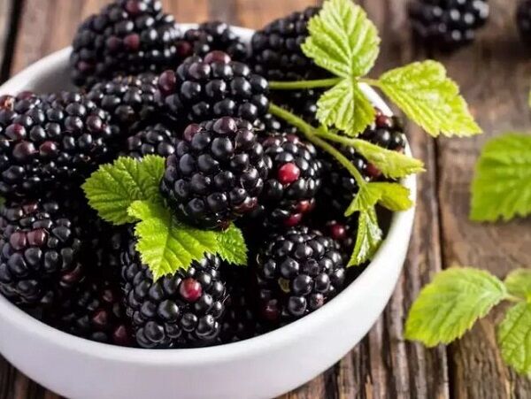 فواید شگفت انگیز این ۹ خوراکی سیاه تابستانی که از آن بی خبرید!