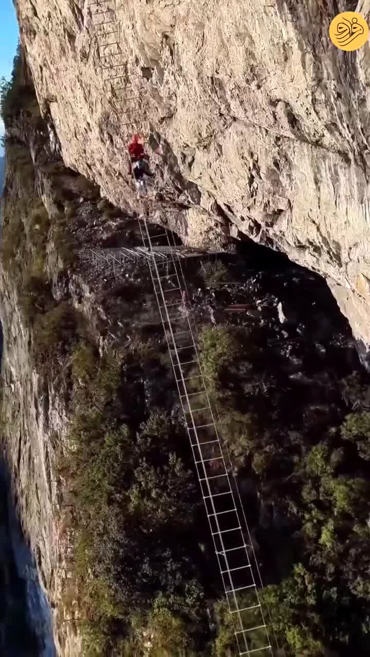 ببینید | نردبان آسمان