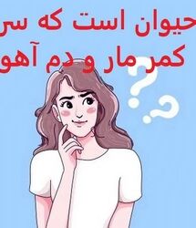 چیستان روز :  کدام حیوان است که سر گرگ، کمر مار و دم آهو دارد؟ 